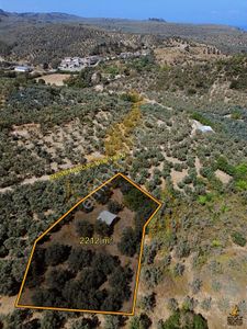 Koçak'tan Trilye'de Yapı Kayıtlı Bağ Evi