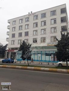 Benek Emlak Yeşildirek 2+1 Kiralık Daire