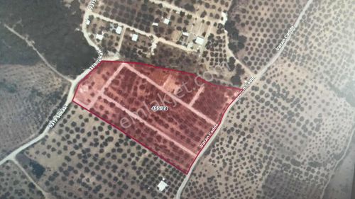 Torbalı Yazıbaşında İmar Bölgesinde Yatırımlık Kelepir Arsa