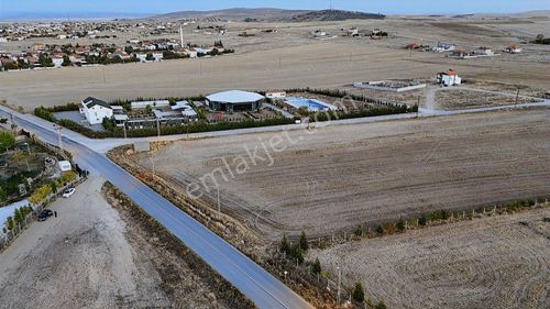 Yenidoğanda Anayola Sıfır Arsalar