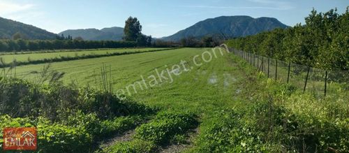 Ortaca Fevziye Mah.essiz Bir Doğanin İcinde Satılık Tarla