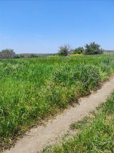 Uzunköprü, Sultanşah, Satılık Tarla