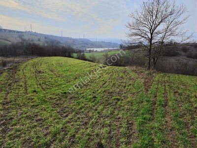 Kocaeli Körfez Sipahiler'de Satılık Arazi