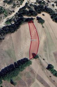 Acil Satılık! Bilecik Yenipazar Yumaklı’da 2435 M² Tarla