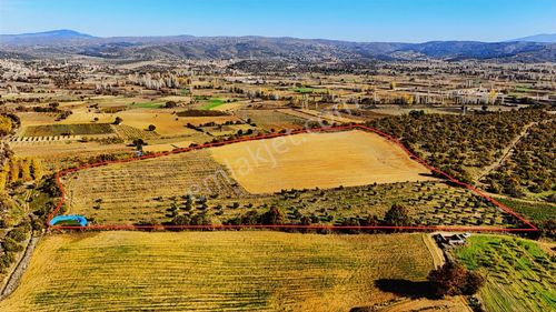 Gördes Şeyhyayla'da Satılık 35563 M2 Zeytinlik Ve Tarla (video)