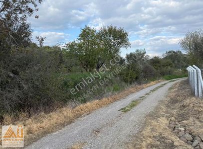 Ayn&ayn Gayrimenkul'den Hamzallı Süleymaniye'de Zeytinlik.