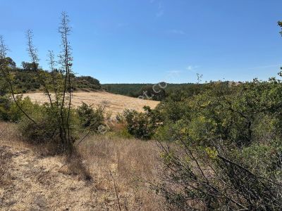 Milyarder'den Susurluk Aziziye'de 5315 Satılık Tarla