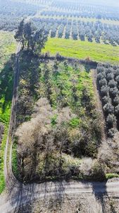 *ülküköy'de Yola Cepheli,yüksek Potansiyelli Yatırımlık Arazi!*