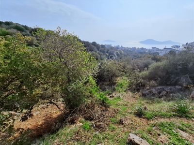 Çandarlı Bimeyko'da Villa İmarlı Arsa