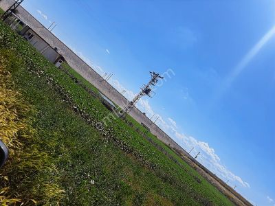 Edirne Yenikadın Köyünde Satılık Yatırımlık Fırsat Arazi