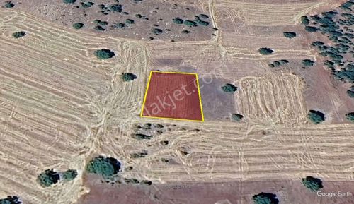 Konya / Güneysınır / Kızılöz Mahallesinde 1.160 M² Müstaki Tapulu Tarla