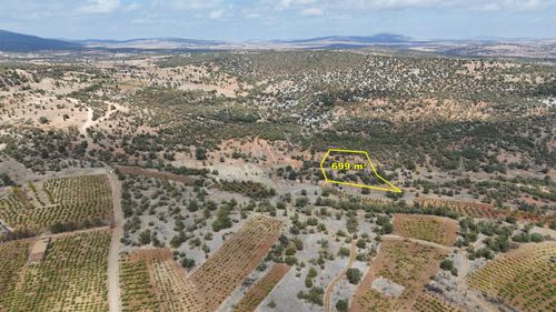 Konya / Bozkır / Hamzalar Mahallesinde 699 M² Müstakil Bağ