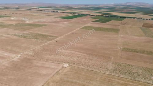 Karaman / Kazımkarabekir / Özyurt Mahallesinde 8.561 M² Müstakil Tapulu