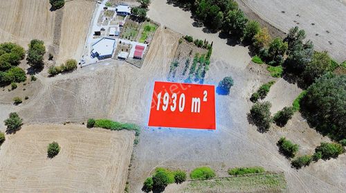 Atakum Sarıtaş Mah. Satılık 1930 M² İmar Sınırında Tarla