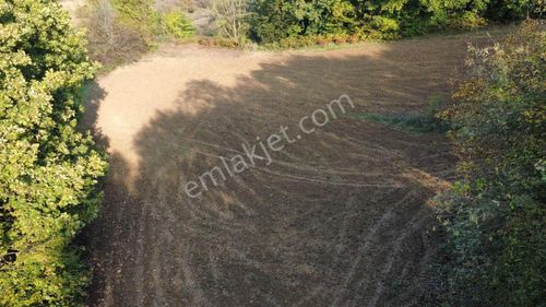 Yoldaş Emlaktan Kandırada Teksen Mah 4600 M2 Tarla