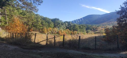 Bayramiç'de 5100 M2 İmarlı Bahçe