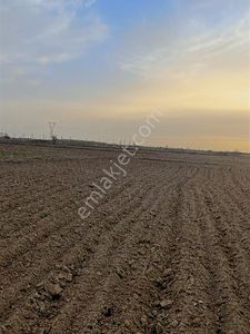 Mehmetoğlu Gayrimenkulden Pınarhisar Sütlücede 3897 M2 Satılık