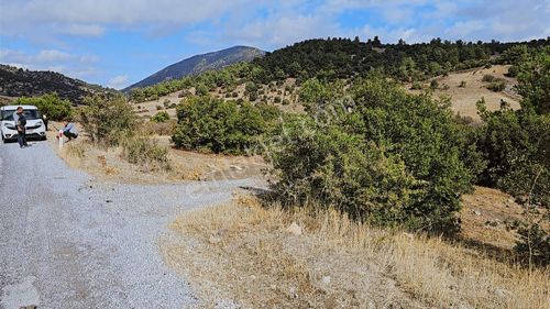 Manisa / Akhisar'da Satılık Fırsat Tarla !