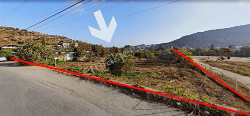 Bodrum Gündoğan Uluağaçaltı Satılık İmar Planı Onaylanmıştır