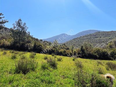 Muğla Milas Hasanlar Da 6057 M2 Kampıng Alanlarına Bitişik Arazi