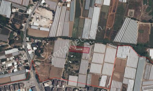 Güzelbağ Mah. Satılık - 2000 M2 İçinde 400 M2 Hisse