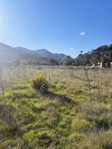 Menderes Deliömerli Köyünde Süper Bir Bahçe