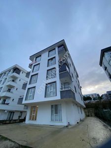 Acil Kiralık Ulaşıma Ve Sahile Yakın Fırsat Daire