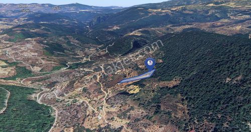 Muğla Zeytinköy'de 2.178 M2 Satılık Tarla