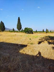 Kemalpaşada Satılık Arazi
