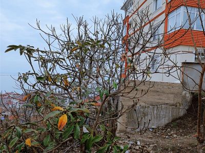 Ordu Perşembe Kozağzında Debiderya Deniz Manzaralı Arsa