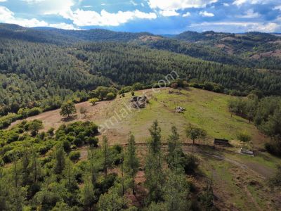 Balıkesir Bozen'de Orman İçinde 29.916 M² Doğayla İç İçe Tarla