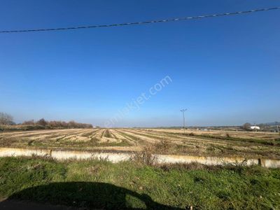 Se&as Exclusıve: Gönen Korudeğirmen De Yatırımlık Fırsat Tarla !!!