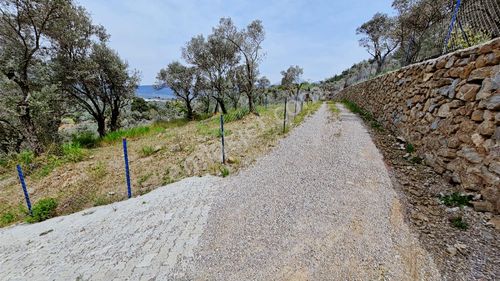 Novas Gayrimenkul'den Yeşilköy'desatılık 342m² Tapulu Bahçe