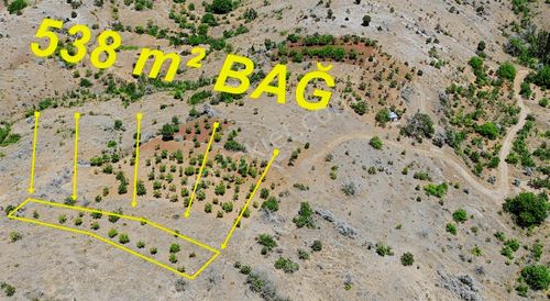 Hacılarda Satılık Müstakıl Tapulu Bağ