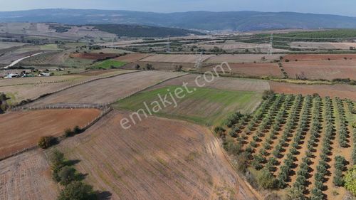 Expert'ten Karacabey Seyran'da Satılık 7500 M² Tarla