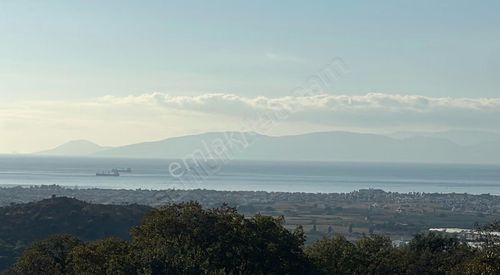 İzmir Dikili Bölgesinde Yatırım Fırsatı