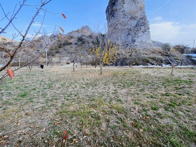 Son Fiyat İkisu Da 1038 Metrekare Arsa