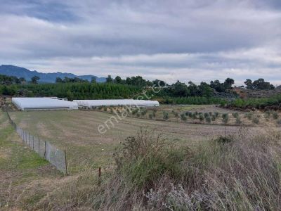 Antalya Gebiz Mahallesi Tek Tapu 3930 M2 Tarla