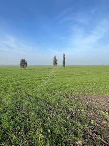 Ergene Vakıflarda Mükemmel Konumda Tarla