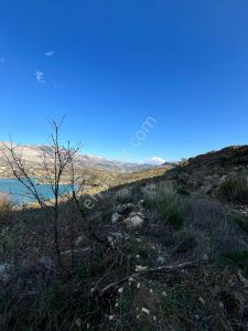 Oymapınar Da Satılık Tek Dönüm Tarla