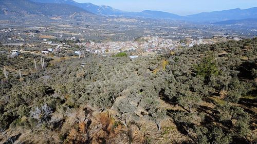 Lenora Gayrimenkül'den Çakırbeyli Mah. Tek Tapu Satılık Tarla