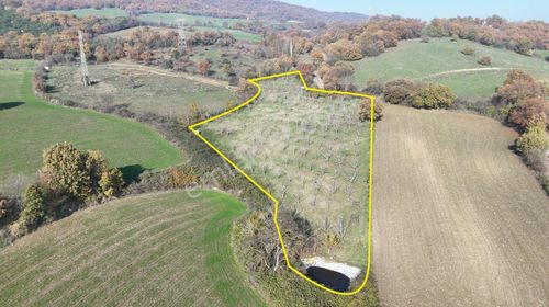 Resmi Yolu Suyu Olan 7500 M2 Ceviz Bahçesi