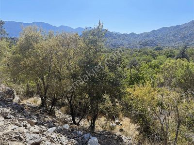 Antalya İbradı Aşağı Mahalle Satılık Arsa