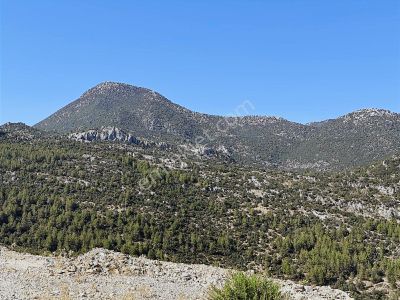 Antalya İbradı Aşağı Mahalle Çotak Başı Satılık Tek Tapu Tarla