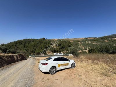 Biensden Gündoğduda 894 M² Hisseli Tarla