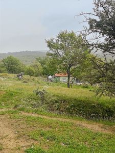 Pınarhisar Kuruderede Hisseli 290 M2 Satılık Tarla