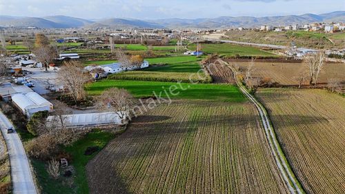 Balnova'dan Kepsut Yenice Mahallesinde Yatırımlık Fırsat Tarla !