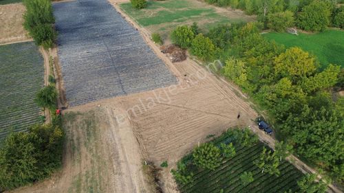 1308 M2 Fırsat Arazisi Tek Tapu Ovada Harika Nokta Kaçırma!!!!!!