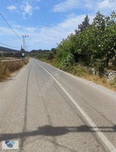 Alfa'dan Anadolufenerinde Anacaddeye 120 M Cepheli Arsa Acil...