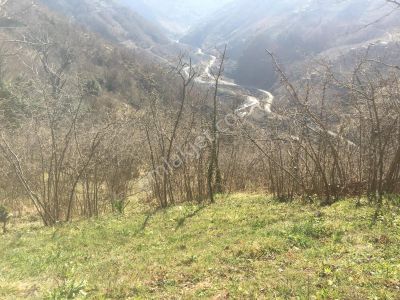 Özgür Emlak'tan On Numara Manzaralı Fındıklık